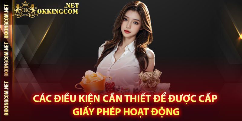 Các điều kiện cần thiết để được cấp giấy phép hoạt động