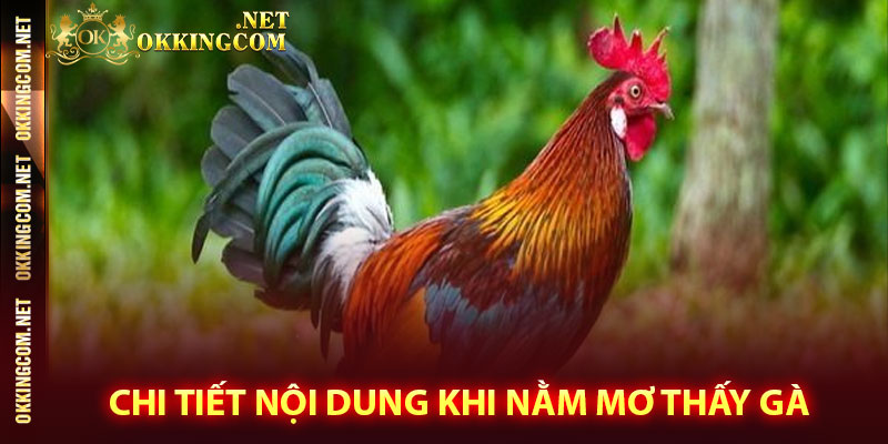 Chi tiết nội dung khi nằm mơ thấy gà