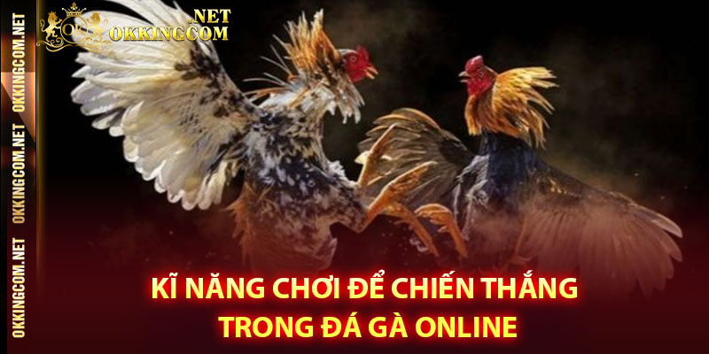 Kĩ năng chơi để chiến thắng trong đá gà online