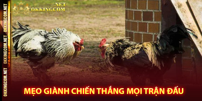 Mẹo giành chiến thắng mọi trận đấu