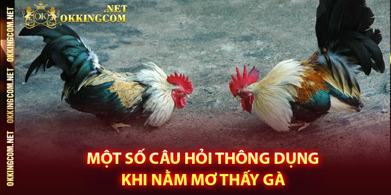 Một số câu hỏi thông dụng khi nằm mơ thấy gà