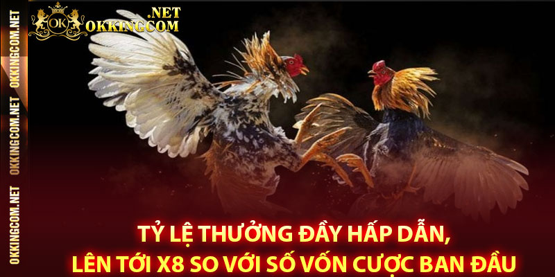 Tỷ lệ thưởng đầy hấp dẫn, lên tới x8 so với số vốn cược ban đầu